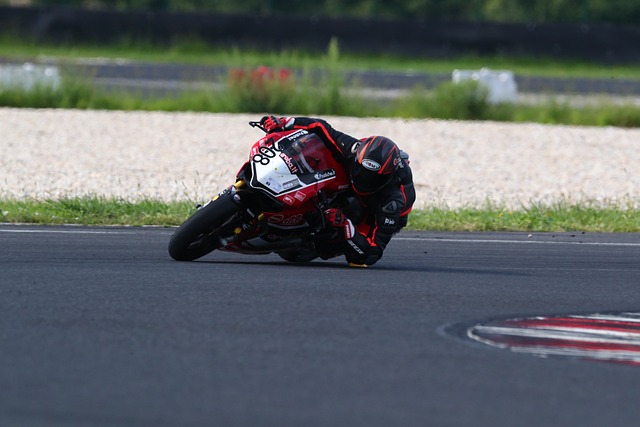 引发全球球 引发全球球