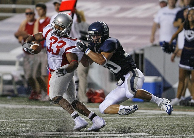 的大力支持 的大力支持